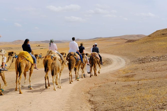 Agafay day trip from Marrakech – camel and quad in stone desert