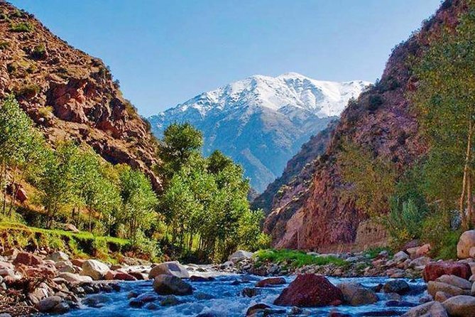 Ourika Valley day trip from Marrakech – river cafés and Atlas foothills